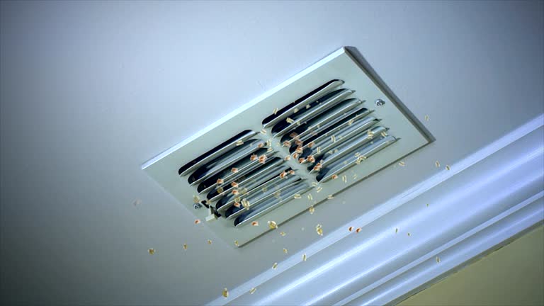 Best Professional Duct Cleaning Services  in Lyford, TX