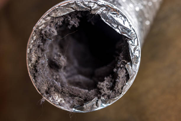 Best HVAC Duct Inspection Services  in Lyford, TX