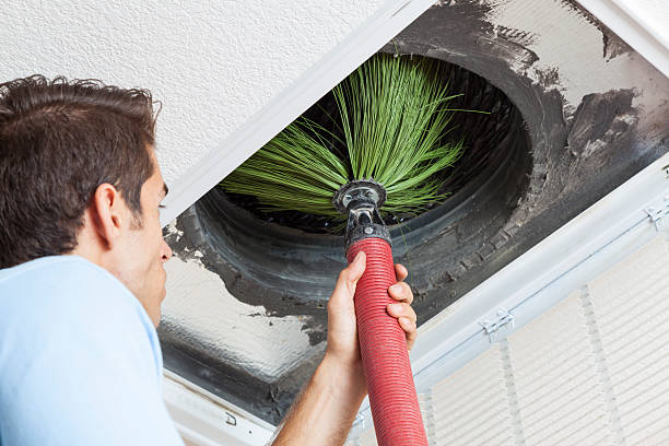 Best Affordable Duct Cleaning Services  in Lyford, TX