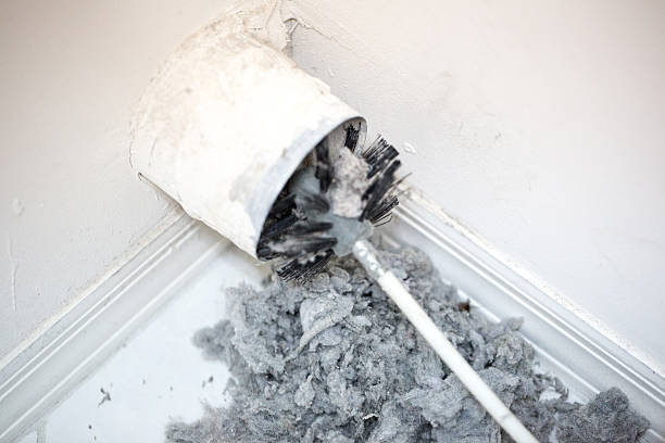 Best Air Duct Cleaning Near Me  in Lyford, TX