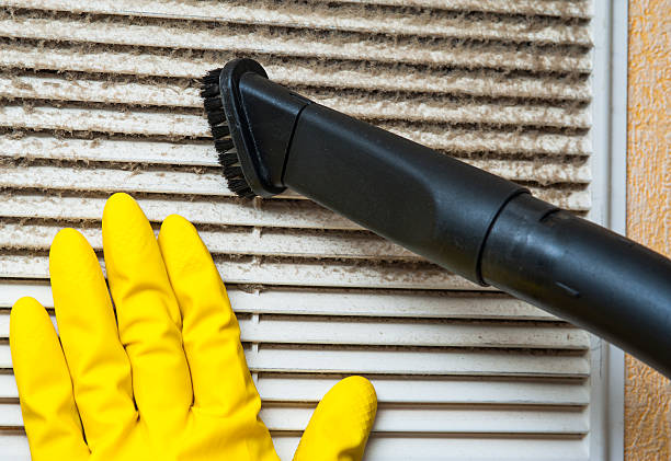 Best Commercial Air Duct Cleaning  in Lyford, TX